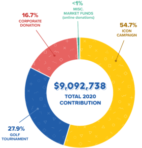 costco financial pie chart